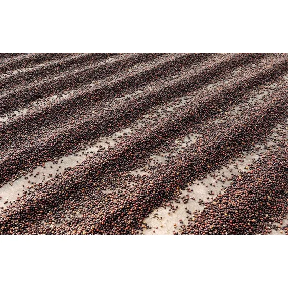 Hacienda Sonora, 250g
